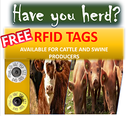 herd.png